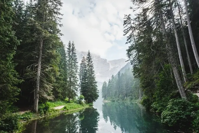 river, trees and montain view